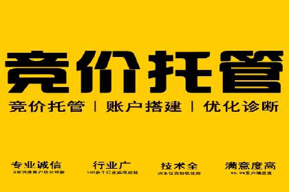 百度SEM推广成功案例，揭秘电商行业的增长秘诀